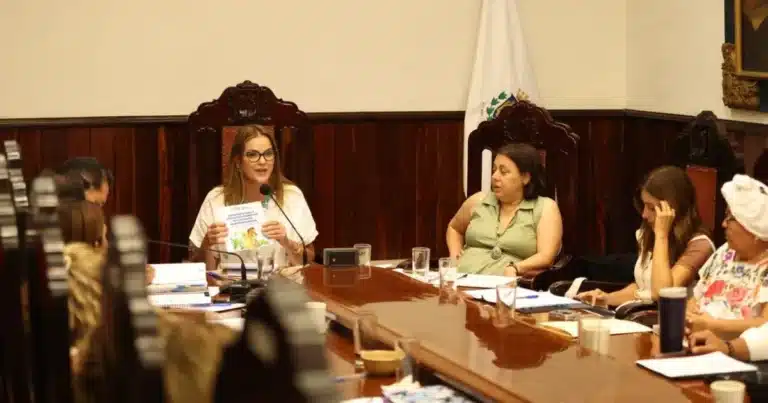 cabildo de mérida aprueba intervención de los primeros 60 parques de mérida enchula
