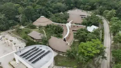 Chichén Itzá pierde visitantes por cierres, CATVI y menor movilidad turística, afirma Sefotur