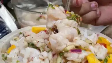 con menos de $700, familias yucatecas llevan el sabor del mar a su mesa en vacaciones