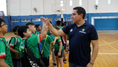 cursos de verano del ayuntamiento de mérida superan los 800 inscritos