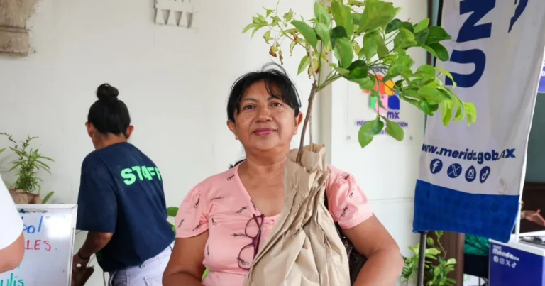 día del Árbol cinco especies nativas de yucatán que puedes sembrar en casa
