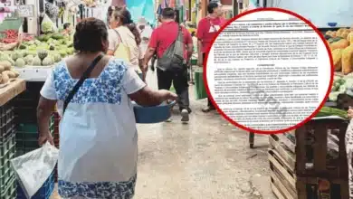 dof notifica procedimientos por uso de palabras del patrimonio maya