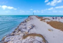 dunas costeras, el escudo natural de yucatán