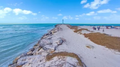 dunas costeras, el escudo natural de yucatán