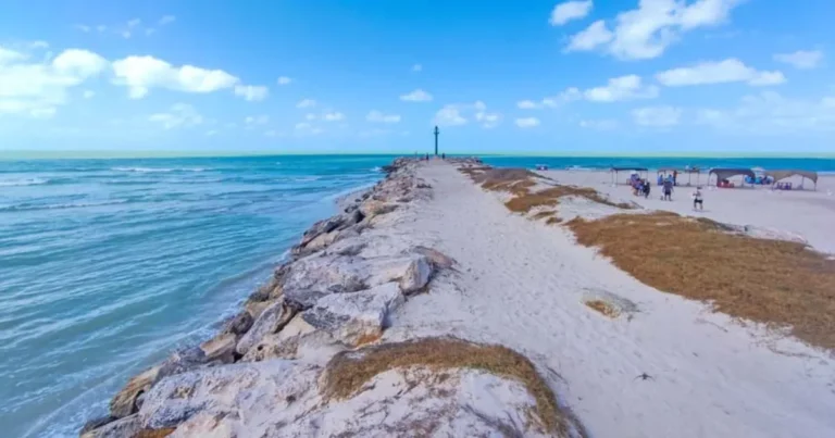 dunas costeras, el escudo natural de yucatán