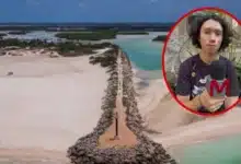 dunas de yucatán, la barrera natural que también protege a las serpientes