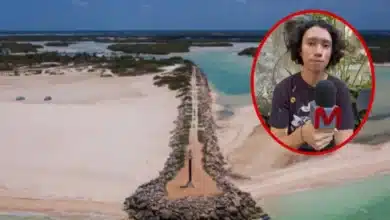 dunas de yucatán, la barrera natural que también protege a las serpientes