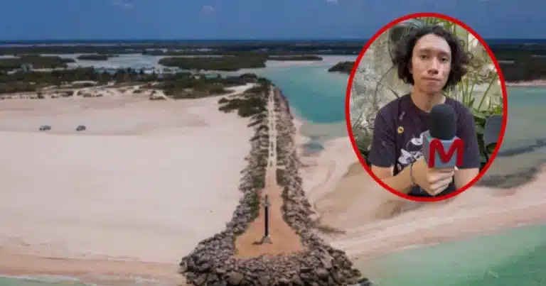 dunas de yucatán, la barrera natural que también protege a las serpientes