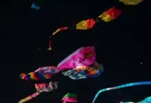 el cielo de progreso se pinta de colores con casi 100 papagayos gigantes