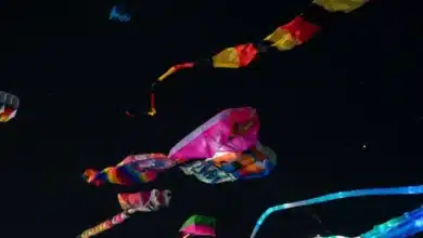el cielo de progreso se pinta de colores con casi 100 papagayos gigantes