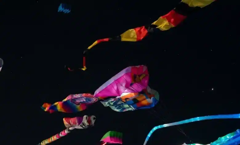 el cielo de progreso se pinta de colores con casi 100 papagayos gigantes