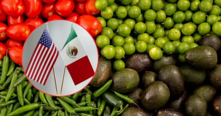 Empresas de Estados Unidos rechazan restricciones a productos agrícolas de México (Fotos de internet)