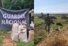 El Gabinete de Seguridad del Gobierno de México informa acciones relevantes del 1 de julio de 2026 (Foto de cortesía)
