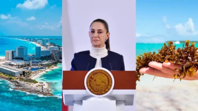 Anuncian a grupo de expertos que atenderá el tema de sargazo (Fotos de internet)
