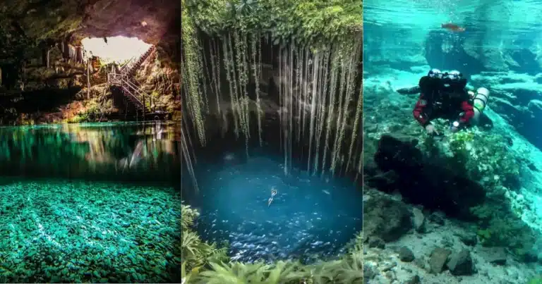 3 cenotes de Yucatán con aguas refrescantes y enigmáticos (Fotos de internet)