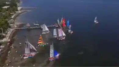 Scouts recorrerán más de 60 kilómetros en la Regata Rover 2026 en Yucatán (Foto de cortesía)