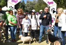 extiende mercado programa de bienestar animal