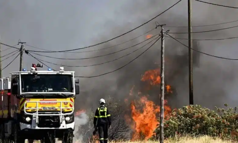 francia combate un devastador incendio forestal que ya consumió más de 2 mil hectáreas