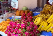 Frutas de verano llegan a mercados de Mérida con precios más accesibles