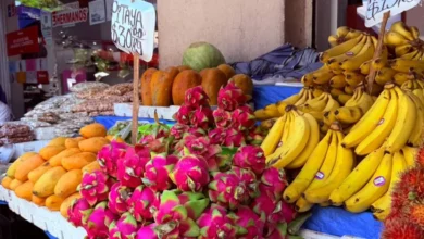 Frutas de verano llegan a mercados de Mérida con precios más accesibles