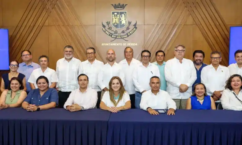 hacer más con menos fortalece a mérida cecilia patrón