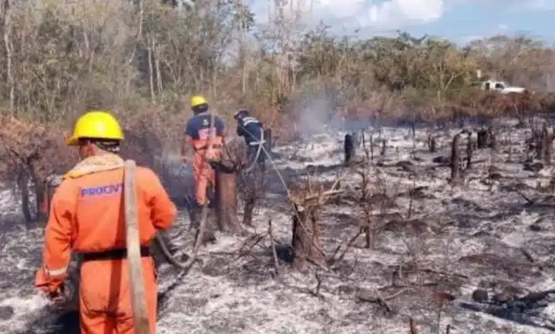 incendios forestales disminuyen 40 en yucatán durante 2026