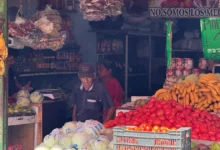 jitomate baja de precio en yucatán tras alcanzar más de 50 pesos por kilo durante cuaresma