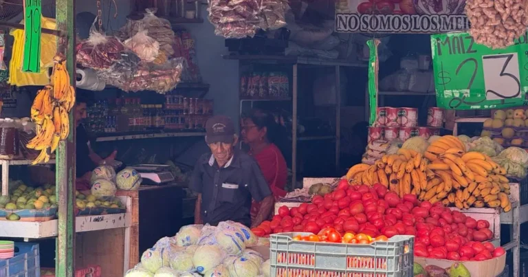 jitomate baja de precio en yucatán tras alcanzar más de 50 pesos por kilo durante cuaresma