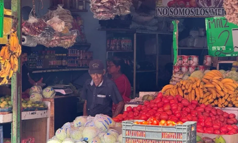 jitomate baja de precio en yucatán tras alcanzar más de 50 pesos por kilo durante cuaresma