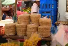 la tortilla del panucho, un tesoro gastronómico de yucatán que busca nuevas manos