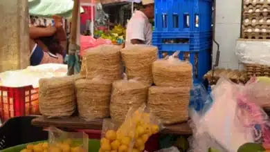 la tortilla del panucho, un tesoro gastronómico de yucatán que busca nuevas manos