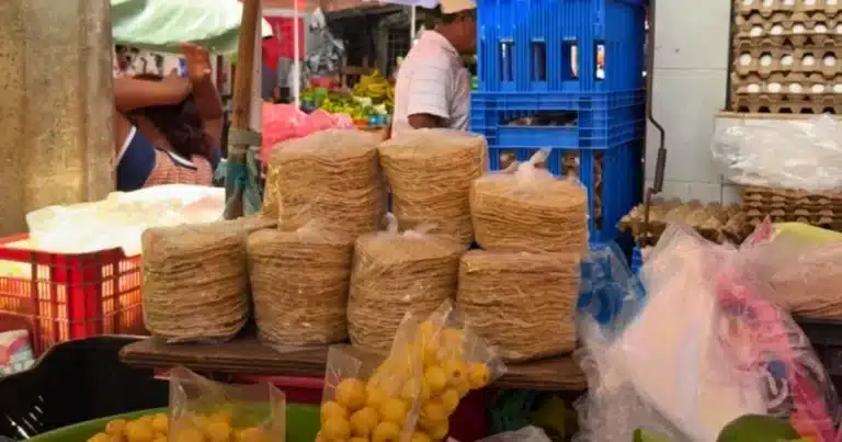 la tortilla del panucho, un tesoro gastronómico de yucatán que busca nuevas manos