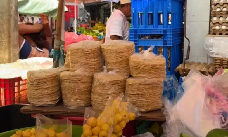 la tortilla del panucho, un tesoro gastronómico de yucatán que busca nuevas manos