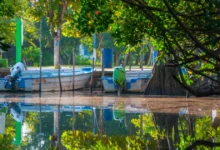 la tovara qué hacer en el paraíso natural escondido entre los manglares de san blas