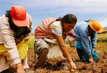 mujeres buscan ganar espacio en los ejidos de yucatán; solo el 3% son ejidatarias