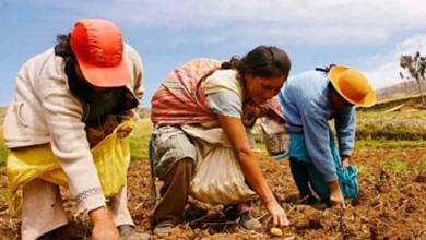 mujeres buscan ganar espacio en los ejidos de yucatán; solo el 3% son ejidatarias