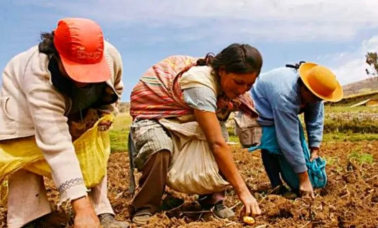 mujeres buscan ganar espacio en los ejidos de yucatán; solo el 3% son ejidatarias