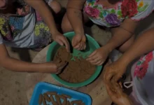 mujeres mayas campesinas compartirán recetas y saberes de la milpa en el gran museo del mundo maya