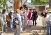 museo de historia natural alista actividades especiales