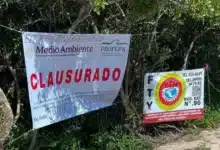 profepa clausura predio de las dunas en chuburná puerto tras denuncias por desmonte