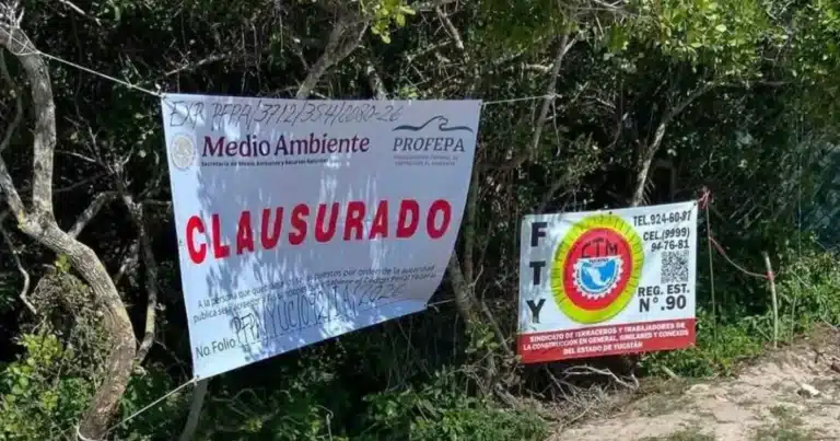 profepa clausura predio de las dunas en chuburná puerto tras denuncias por desmonte