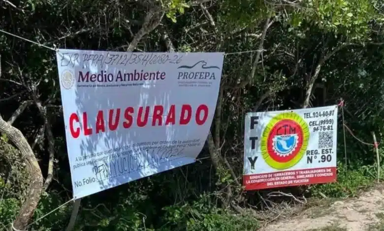 profepa clausura predio de las dunas en chuburná puerto tras denuncias por desmonte