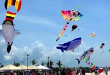 progreso tendrá el festival del papagayo este 18 y 19 de julio