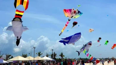 progreso tendrá el festival del papagayo este 18 y 19 de julio