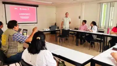 Yucatán refuerza vigilancia contra la leishmaniasis con nuevo grupo técnico