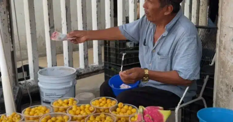 El nance está de regreso: la fruta del verano que conquista mercados y cocinas de Yucatán