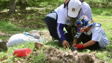 Suman 2 mil árboles plantados en Mérida por la cruzada forestal