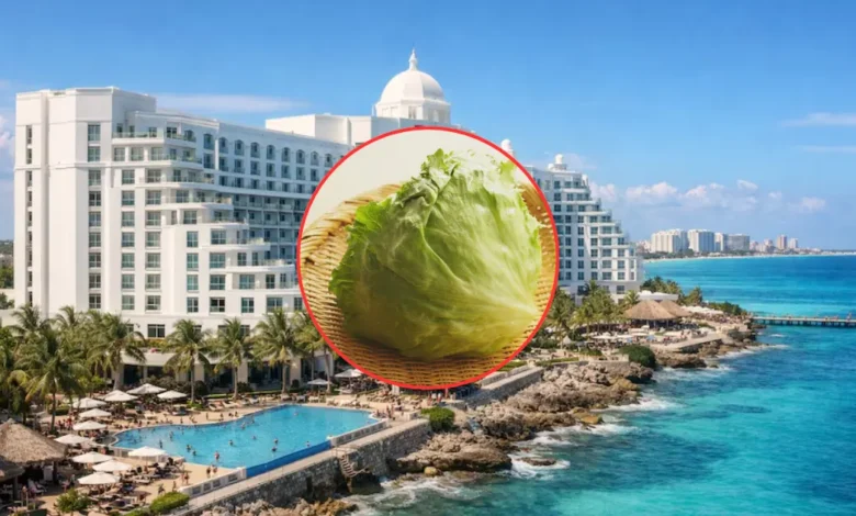 reino unido alerta por casos de ciclosporiasis en viajeros que visitaron quintana roo