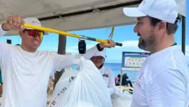 retiran 18 toneladas de basura en yucatán, pero el escombro sigue invadiendo los manglares