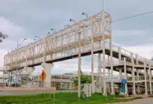 mega operativo de bienestar animal rescata siete animales y mantienen 18 casos en proceso legal